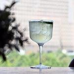 Copas Gin (Set 6 piezas) - Arantimx