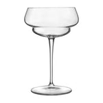 Backdoor 20s Collection — Martini 8 oz