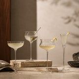 Kori Mixology Collection (Set 6 Piezas) — Aranti